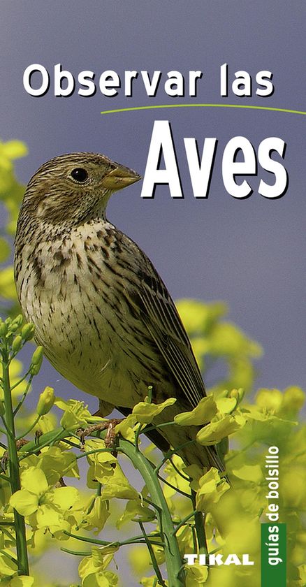 OBSERVAR LAS AVES - DARMANGEAT, PIERRE