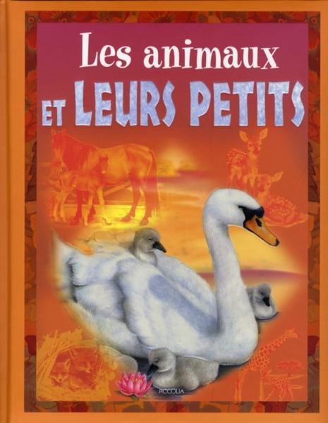 le monde animal - les animaux et leurs petits - Collectif