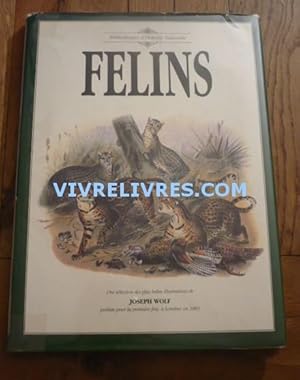 FÉLINS. Une sélection des plus belles illustrations de Joseph Wolf publiée pour la première fois,...