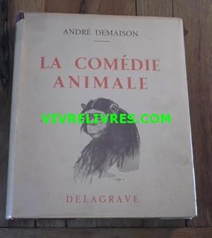 LA COMÉDIE ANIMALE. La clause de chaleur. Zib le chacal. Une bête vraiment sauvage