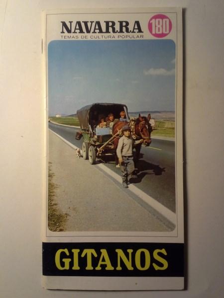 GITANOS. Navarra Temas De Cultura Popular Nº 180. - Iraizoz, Jenaro.