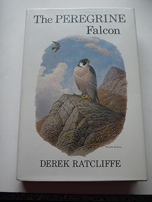 THE PEREGRINE FALCON