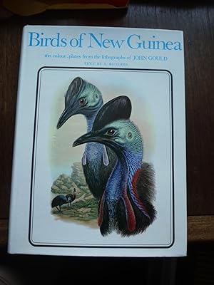 BIRDS OF NEW GUINEA