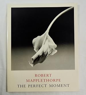 Robert Mapplethorpe: The Perfect Moment