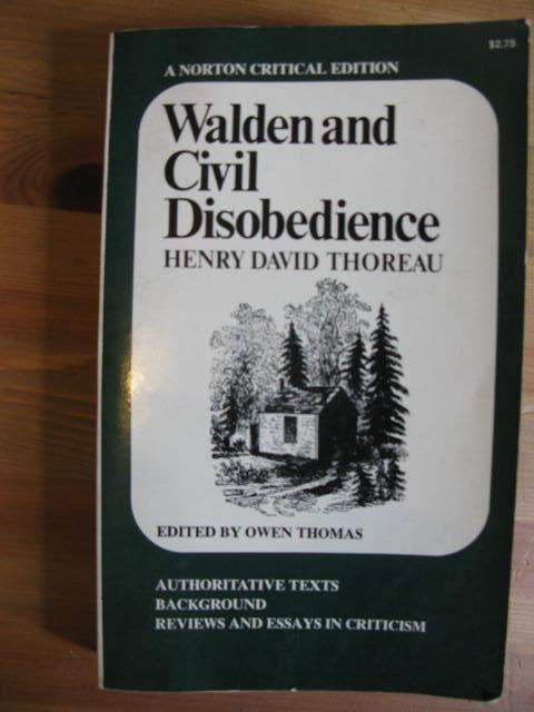 Critical essay on henry david thoreau