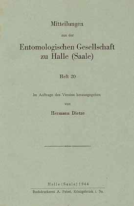 Sinopsis erwarten Datierung
