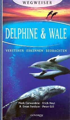 Delphine & Wale. Verstehen - Erkennen- Beobachten