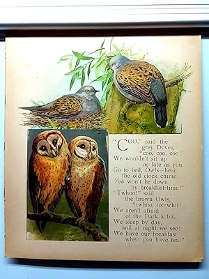 1896 Doves and Owls Chromolithograph