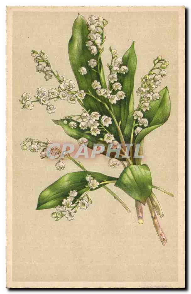 Fleurs Flowers Muguet Lily Of The Valley Porte Bonheur Carte Postale Ancienne Manuscript Nbsp Nbsp Paper Nbsp Collectible Cpaphil