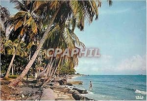 Carte Postale Moderne Afrique en Couleur Plage de cocotiers