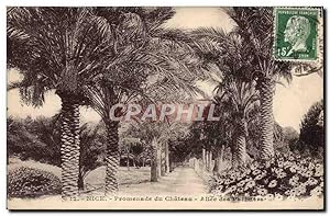 Carte Postale Ancienne Nice Promenade du Chateu Allée des Paimiers