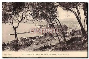 Carte Postale Ancienne Nice vue Prise entre les Pins Mont Boron