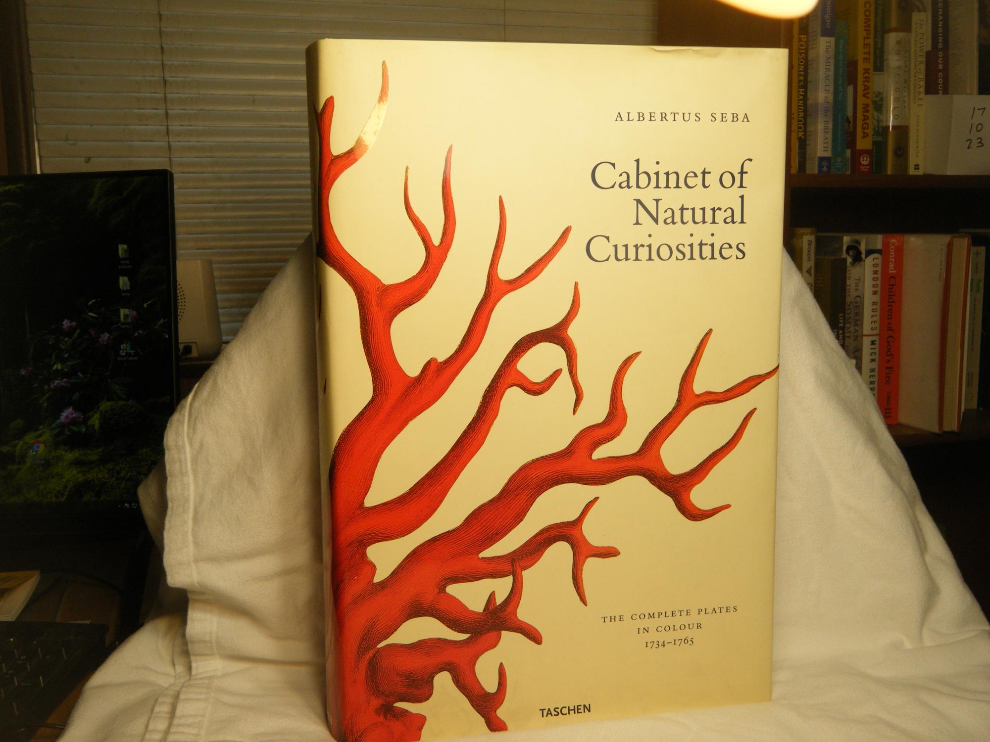 Cabinet Of Natural Curiosities De Seba Albertus Irmgard Musch