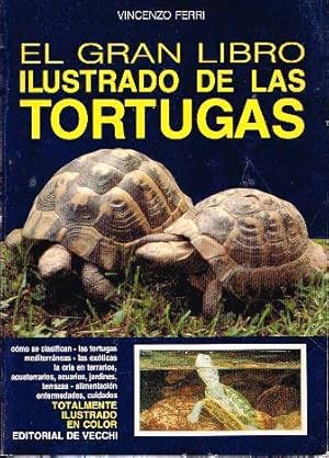 El Oráculo de Las Tres Tortugas (Spanish Edition)