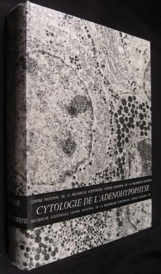 Cytologie De L'Adenohypophyse