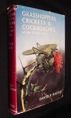 Grasshoppers, Crickets and Cockroaches of the British Isles