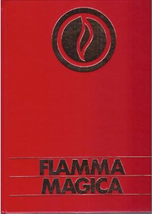 Flamma magica : [Feuer, Wärme, Licht, Frieden]. With photographic illustrations by Anselm Spring ...