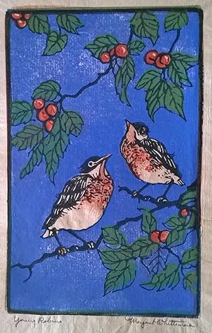 Young Robins, Original Signed and Titled Print by Margaret Whittemore