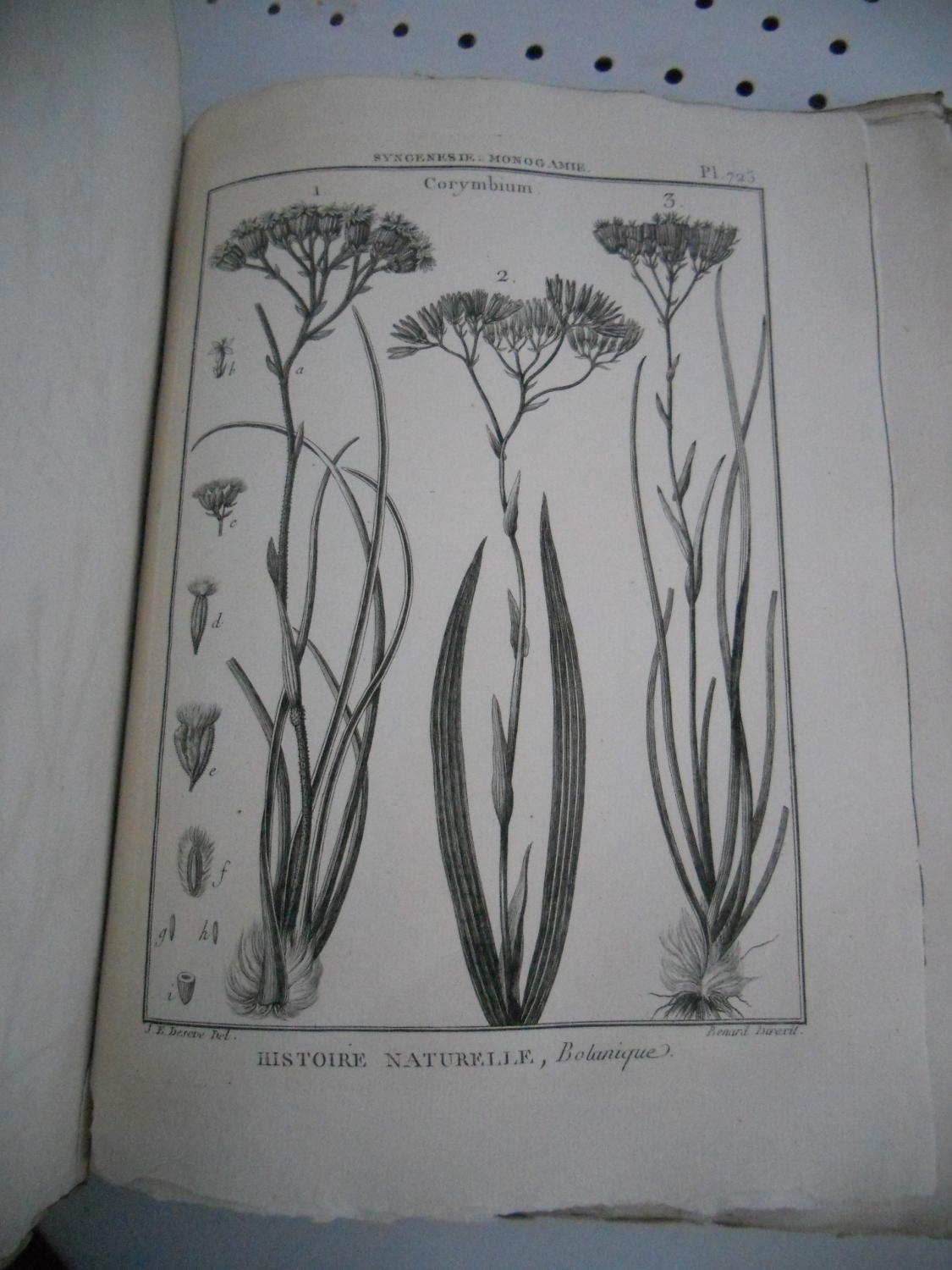 Un Volume Depareille De La - 
