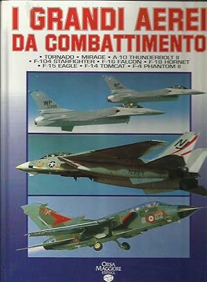 I grandi aerei da combattimento