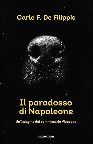 IL PARADOSSO DI NAPOLEONE