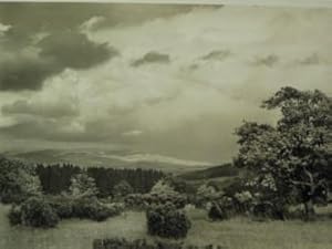 An der Eckertbank im Naturpark Ellenbogen.Postkarte.