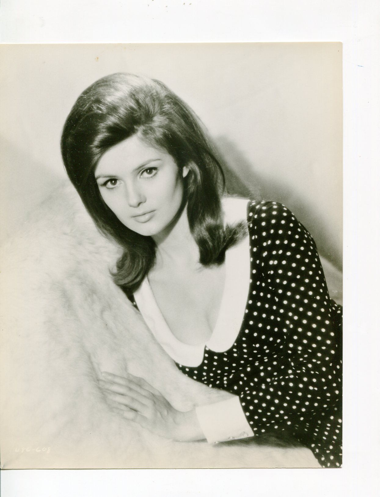 Pamela Tiffin-7.5x9.5-B&W-Promo-Still: Photograph | DTA Collectibles