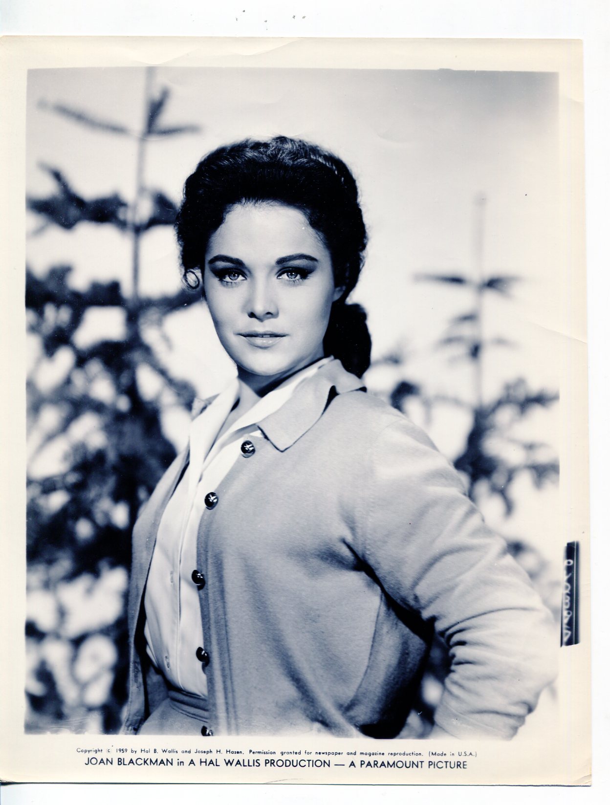 Career-Joan Blackman-8x10-B&W-Still: Photograph DTA Collectibles