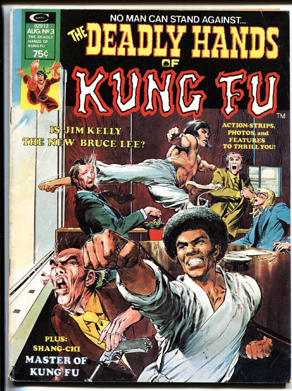 bruce lee kung fu book