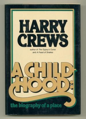 Image for Childhood: The Biography of a Place
