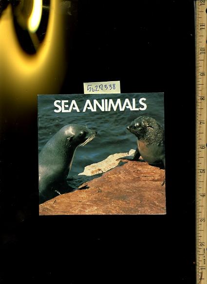 Sea Animals : An Animal Information Book [Pictorial Children's Reader, Learning to Read, Skill building] - Elizabeth Elias Kaufman