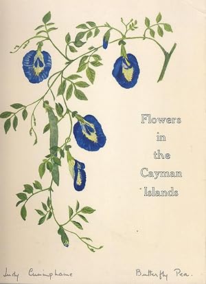 Flowers in the Cayman Islands