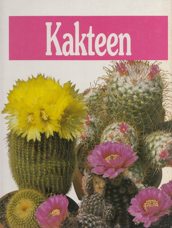 Kakteen