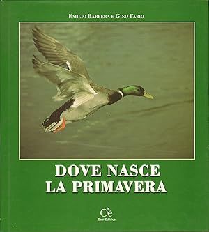 DOVE NASCE LA PRIMAVERA di Emilio Barbera Gino Fabio ed 2001 Oasi