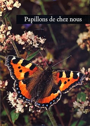 Papillons de chez nous