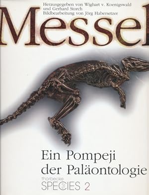 Messel. Ein Pompeji der Paläontologie.