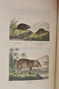 Buffon's Natural History. Containing a Theory of the Earth, a General History of Man, of the Brute Creation, and of Vegetables, Minerals, &c. &. &c. From the French, with Notes by the Translator. Barr's Buffon.