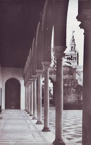 SEVILLA. Alcazar. Patio de la Montería. Foto: J. Cebollero.