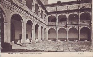 SALAMANCA: Patio de los Irlandeses. J.C. Calón.