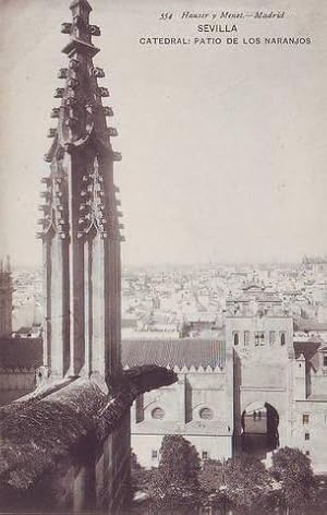 SEVILLA. Catedral: Patio de los Naranjos. 554.