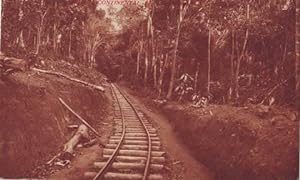 GUINEA CONTINENTAL. Ferrocarril forestal de la 'Socogui'.