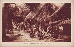 GUINEA CONTINENTAL. Una finca de cocos.