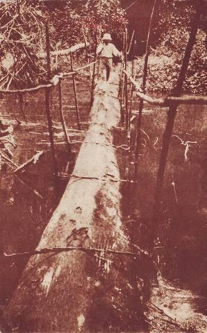 GUINEA CONTINENTAL. Puente indígena sobre el río N'wara.