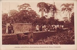 GUINEA ESPAÑOLA. Explotaciones Forestales de Bros y Compañía.