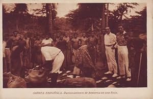 GUINEA ESPAÑOLA. Racionamiento de braceros en una finca.