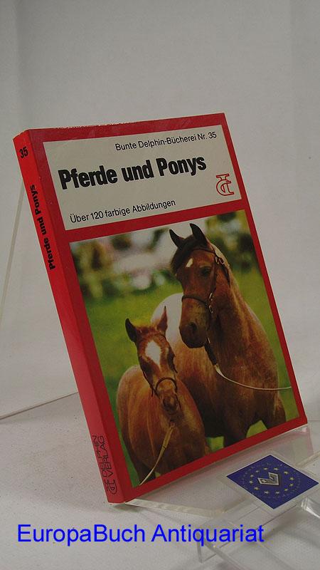 Pferde und Ponys