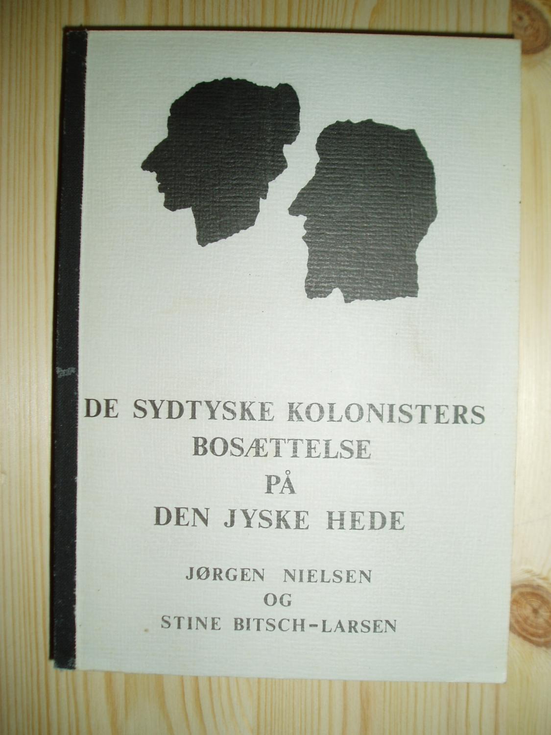 De sydtyske kolonisters bosættelse pa den jyske hede (Danish Edition)