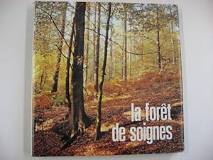 la forêt de soignes