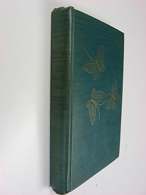 The Butterfly Shawl : A Story of Spanish California 1826