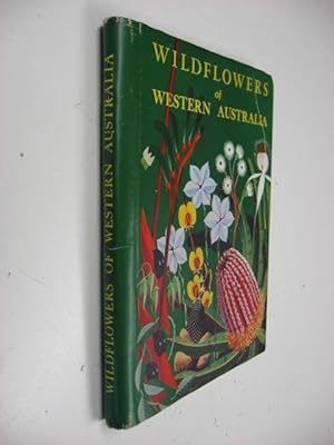 Wildflowers of Western Australia